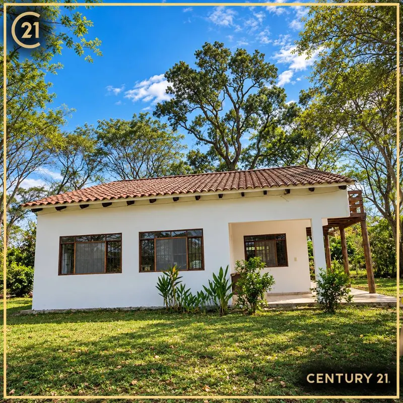 Propiedad rural de 21 hectáreas en venta en Portachuelo: foto 13 de 20