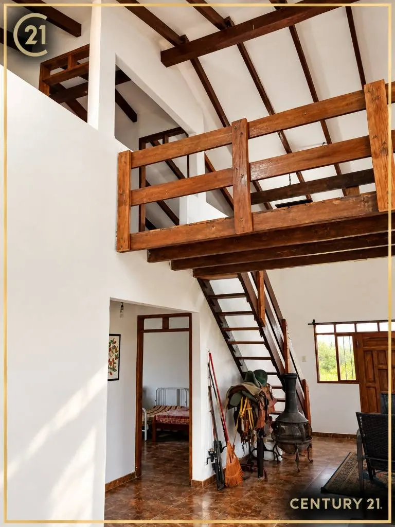 Propiedad rural de 21 hectáreas en venta en Portachuelo: foto 16 de 20