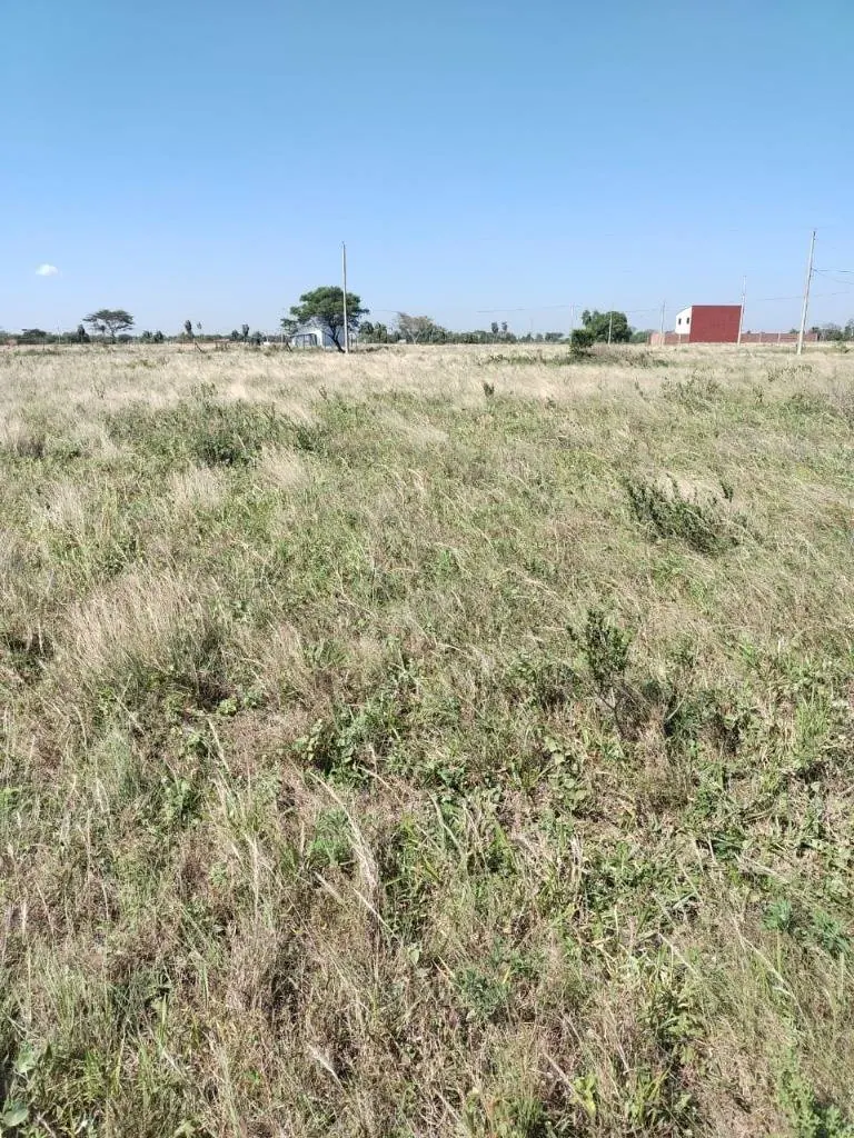 Terreno de 305 m² en venta en la urbanización La Ponderosa: foto 2 de 5