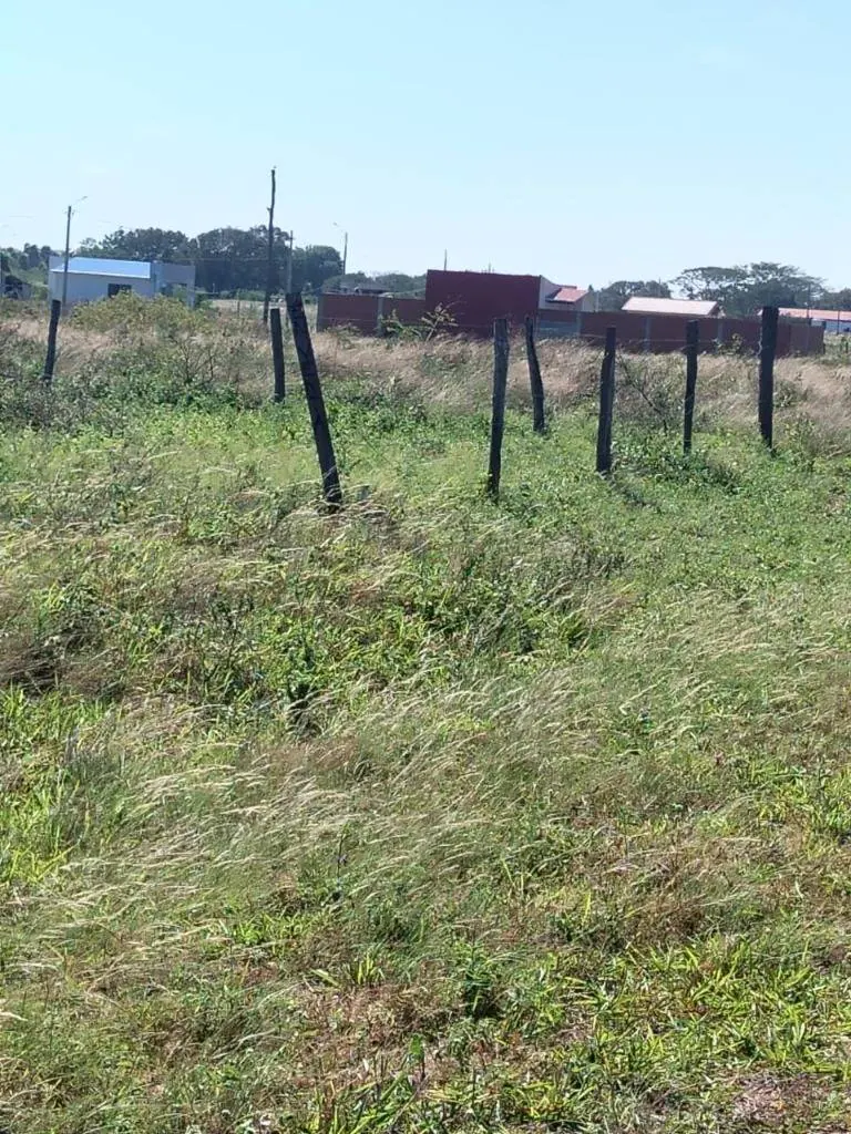Terreno de 305 m² en venta en la urbanización La Ponderosa: foto 4 de 5