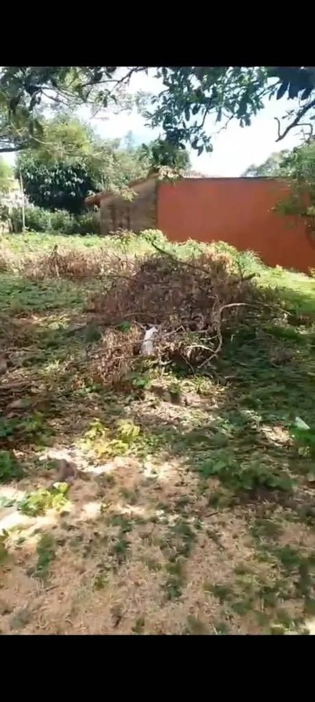 731.25 m² lot for sale in La Guardia, on an avenue: foto 2 de 4