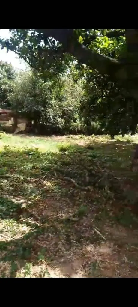 731.25 m² lot for sale in La Guardia, on an avenue: foto 3 de 4