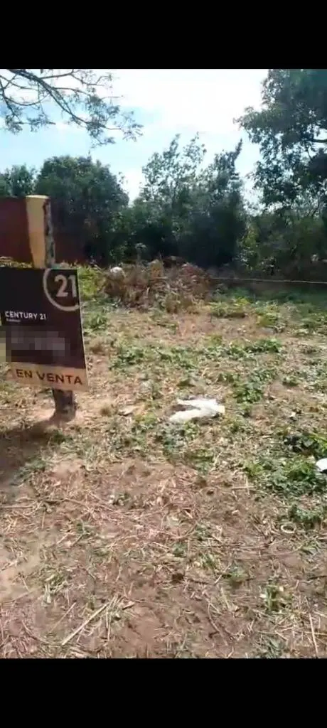 731.25 m² lot for sale in La Guardia, on an avenue: foto 4 de 4