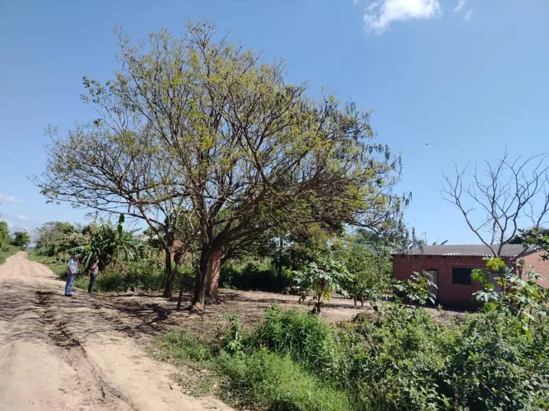 300 m² lot for sale in Warnes, half a block from the paved road