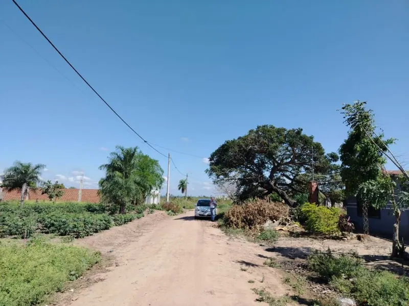 300 m² lot for sale in Warnes, 1 block from the paved road: foto 3 de 4
