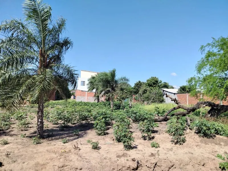 300 m² lot for sale in Warnes, 1 block from the paved road: foto 4 de 4