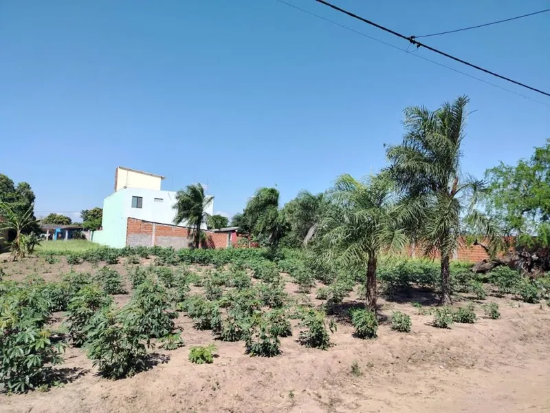 Terreno de 300 m² en venta en Warnes, a una cuadra del asfalto: foto 2 de 3