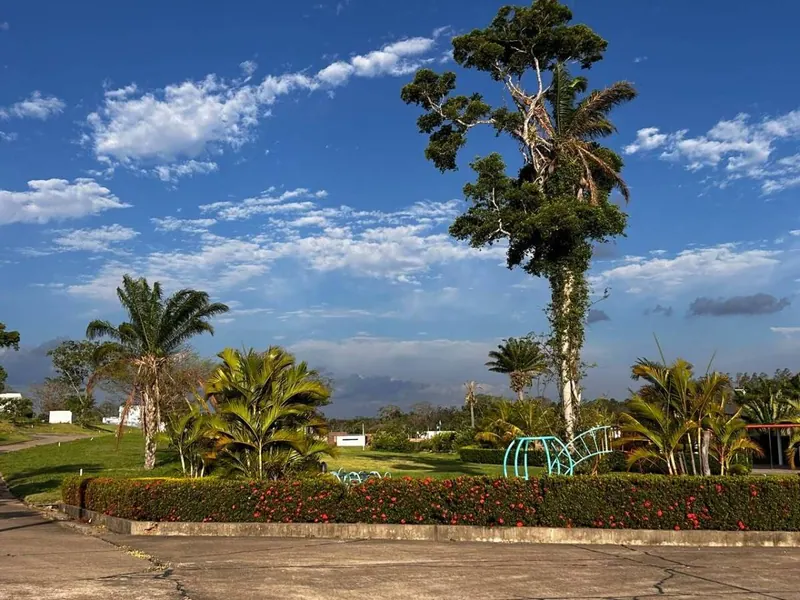 Terreno de 461,44 m² en venta en Palmas del Urubó III, Urubó: foto 20 de 27