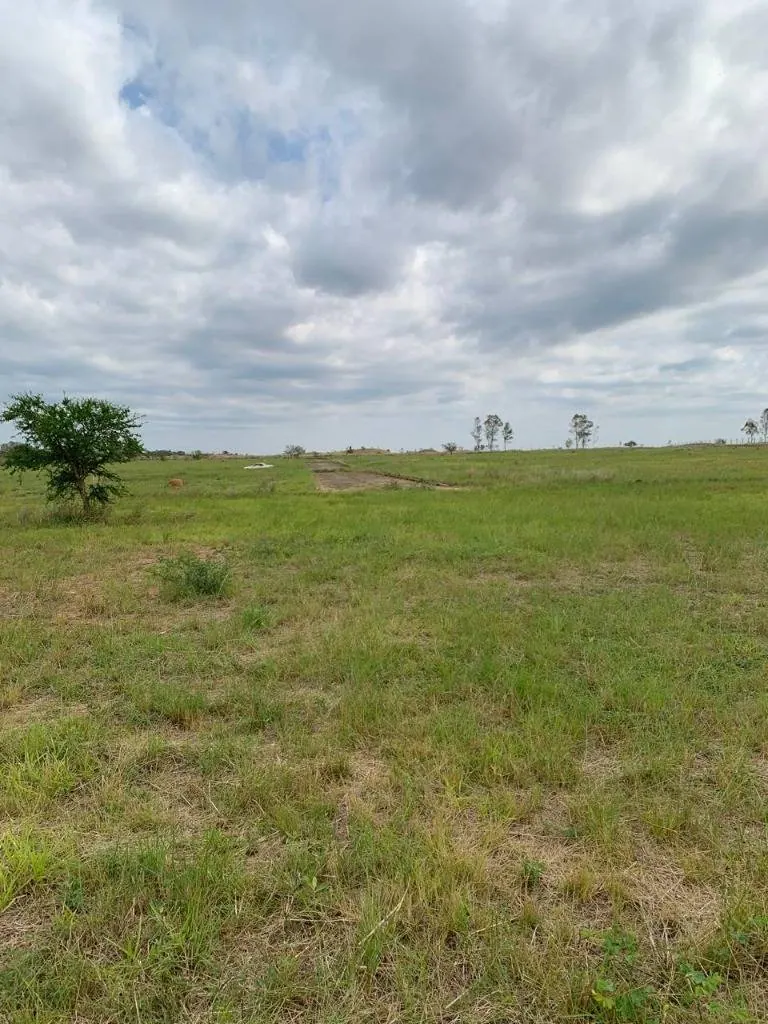 Terreno de 1.038,59 m² en venta en el condominio Sophia, Urubó: foto 5 de 6