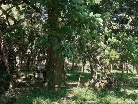 964.08 m² lot for sale in Urubó, Los Batos: foto 4 de 11