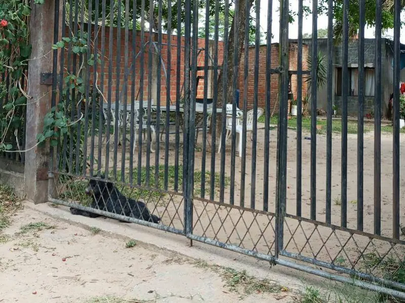 964.08 m² lot for sale in Urubó, Los Batos: foto 11 de 11