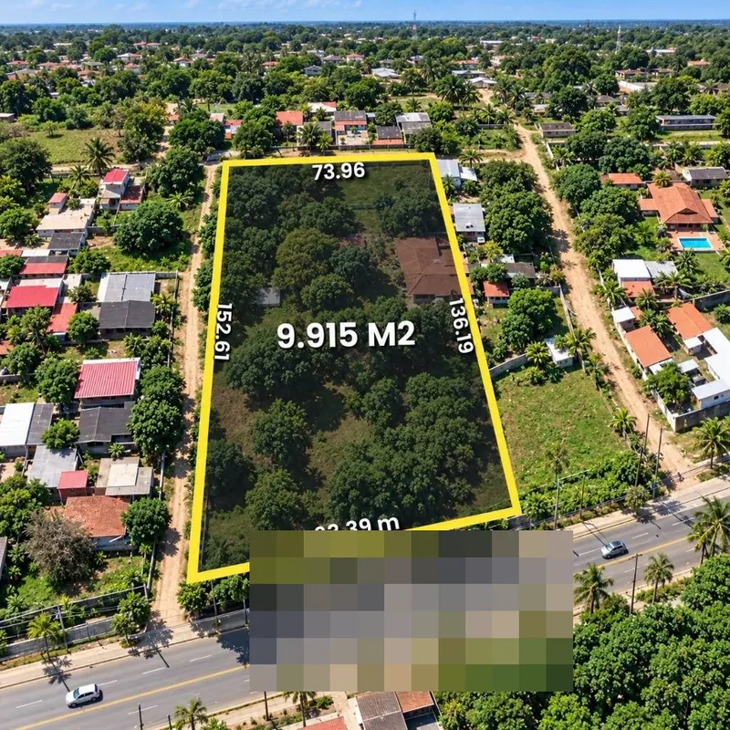 Quinta de 9.893,93 m² en venta en esquina sobre la Av. Palmar Viruez: foto 2 de 7