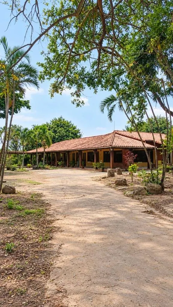 Quinta de 9.893,93 m² en venta en esquina sobre la Av. Palmar Viruez