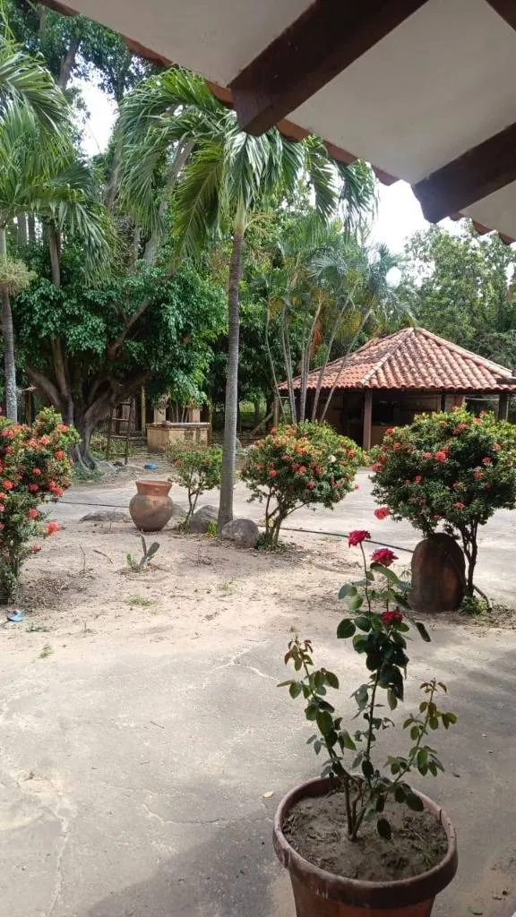 Quinta de 9.893,93 m² en venta en esquina sobre la Av. Palmar Viruez: foto 6 de 7