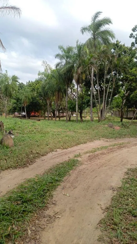 Quinta de 9.893,93 m² en venta en esquina sobre la Av. Palmar Viruez: foto 7 de 7