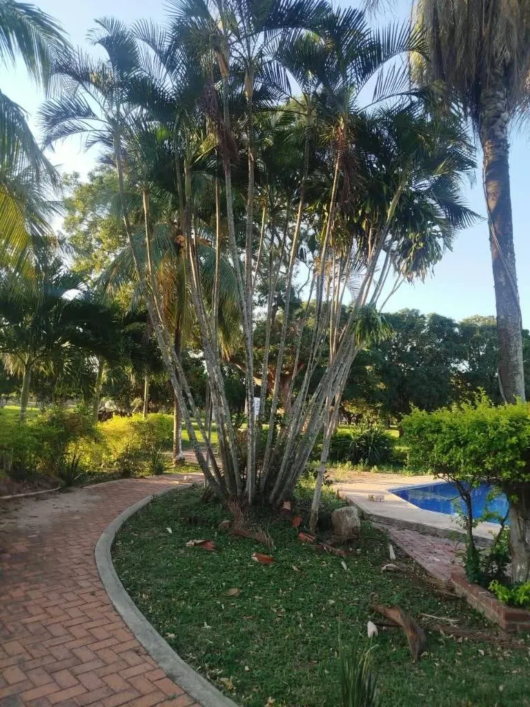 300 m² lot for sale in Complejo Campestre Norte II, Warnes: foto 16 de 47