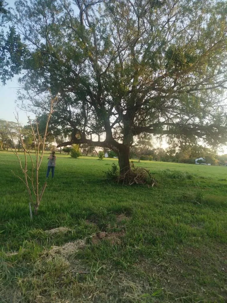 300 m² lot for sale in Complejo Campestre Norte II, Warnes: foto 21 de 47