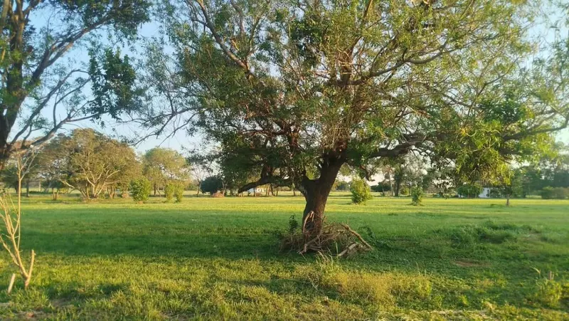 300 m² lot for sale in Complejo Campestre Norte II, Warnes: foto 22 de 47