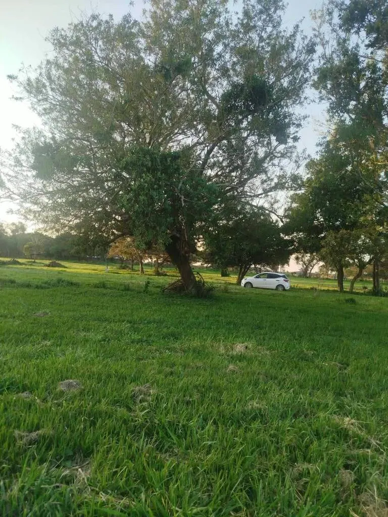 300 m² lot for sale in Complejo Campestre Norte II, Warnes: foto 25 de 47
