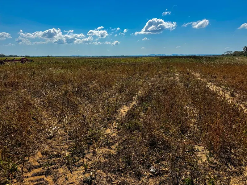 5-hectare rural property for sale in Santa Cruz