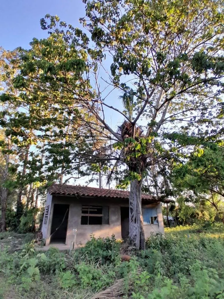 Terreno de 2 hectáreas con tinglado en venta en Terracor 3, Warnes: foto 3 de 6
