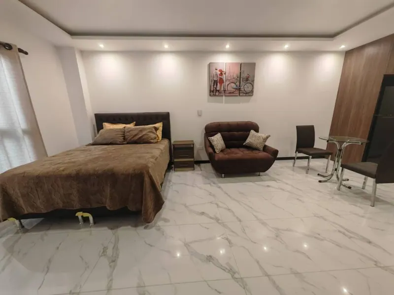 Furnished studio for rent in the Demus Deluxe building: foto 5 de 21