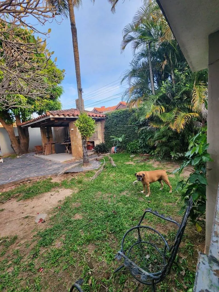 620 m² lot for sale on Av. Beni, near the 6th ring: foto 6 de 7