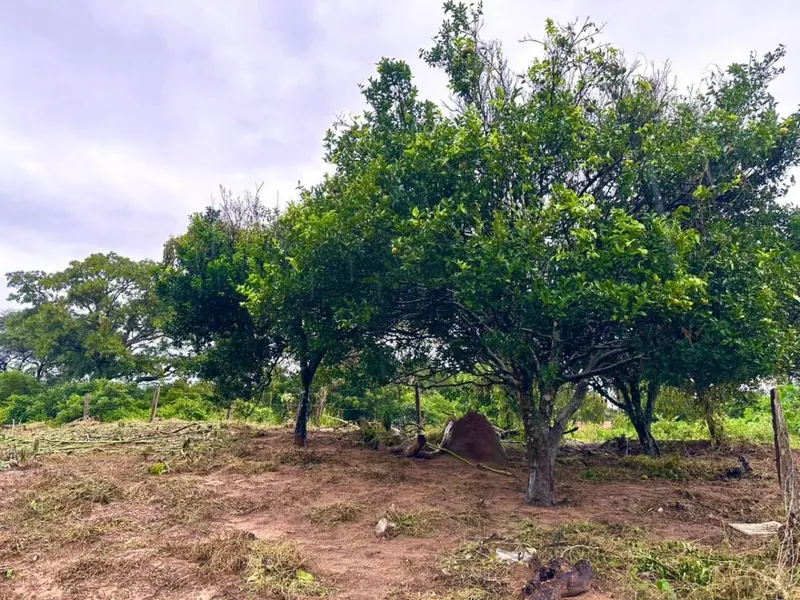 Corner lot for sale in La Guardia, 578.23 m²