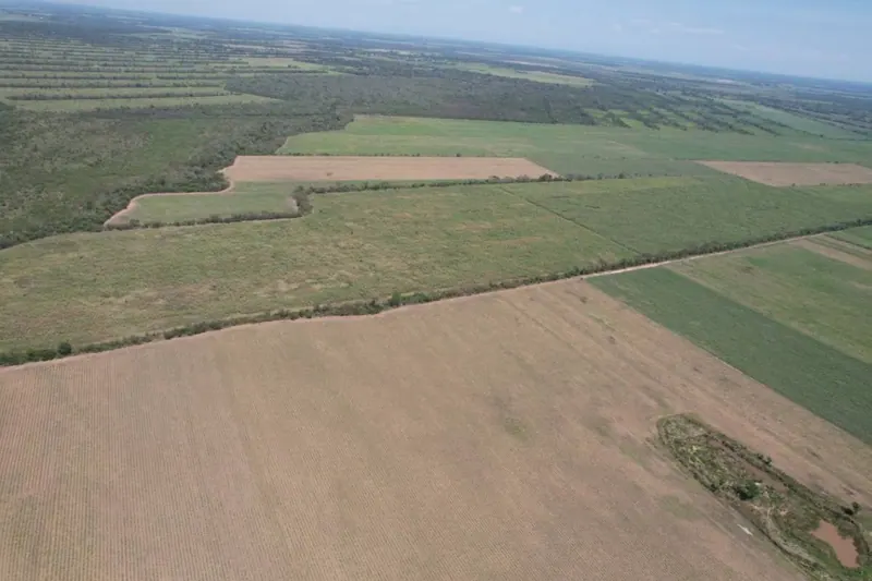 Rural property Villa Flores for sale in Warnes, 48.9746 hectares: foto 2 de 5