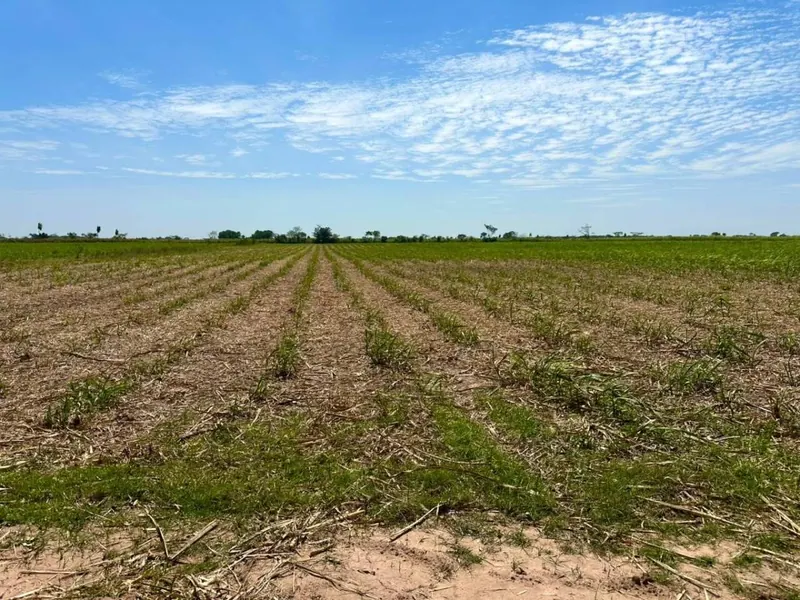 Rural property Santa Rosa I of 56.0480 hectares for sale in Warnes: foto 1 de 6