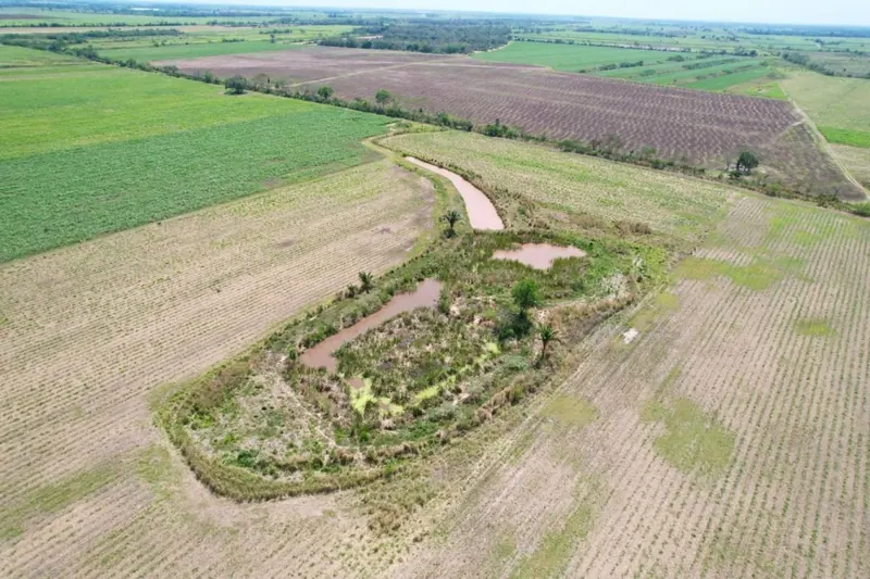 Rural property Santa Rosa I of 56.0480 hectares for sale in Warnes: foto 6 de 6