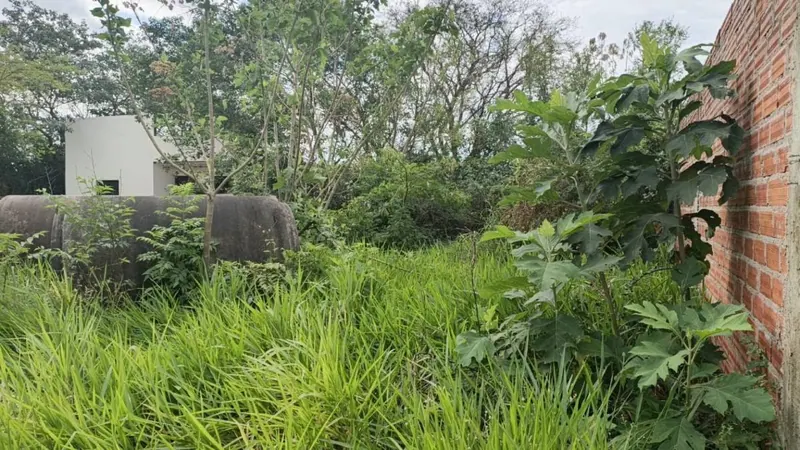 Terreno de 300 m² en venta en la urbanización Canaán, Zona Norte: foto 2 de 4