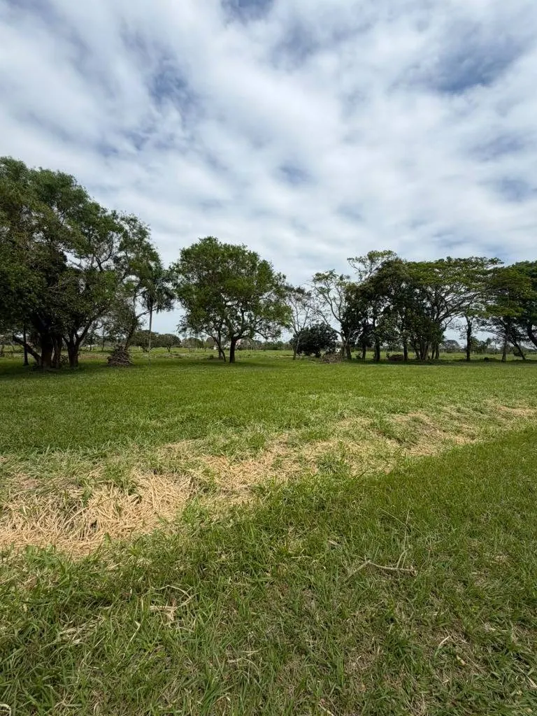 Terreno de 444,87 m² en venta en Complejo Campestre Norte II: foto 5 de 5
