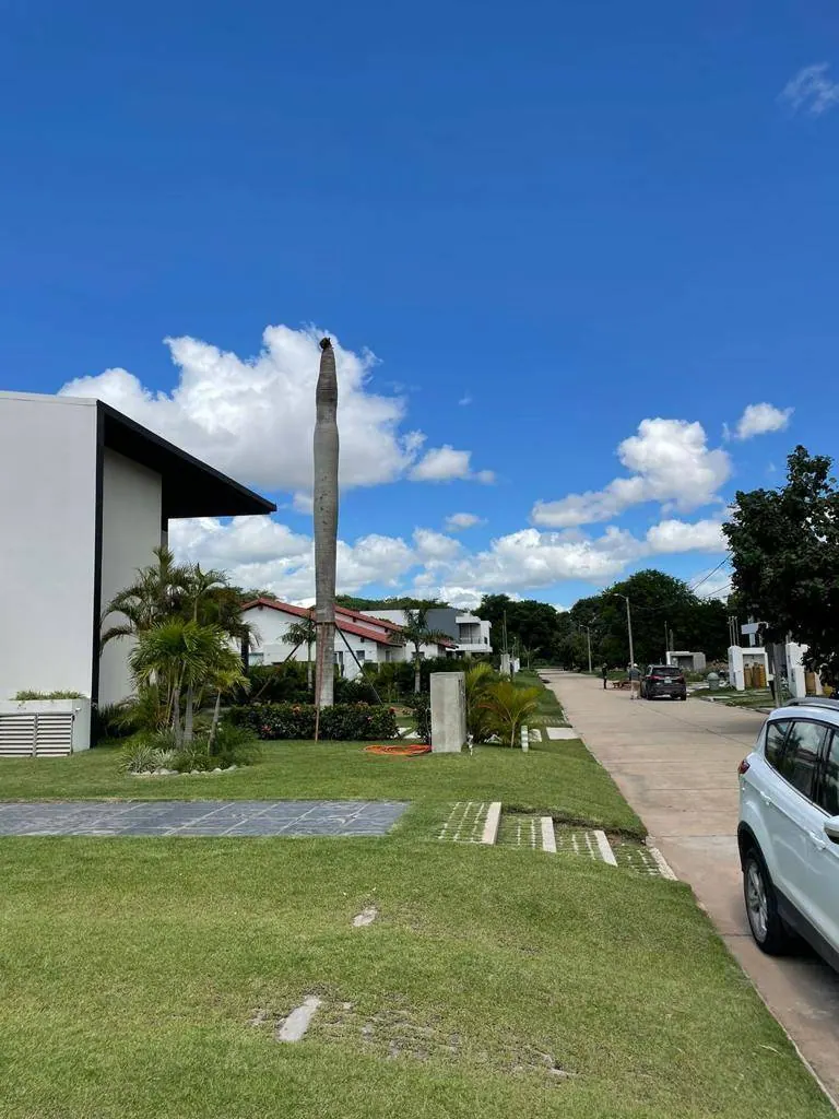Terreno de 1.000,50 m² en venta en el condominio El Carmen: foto 9 de 9