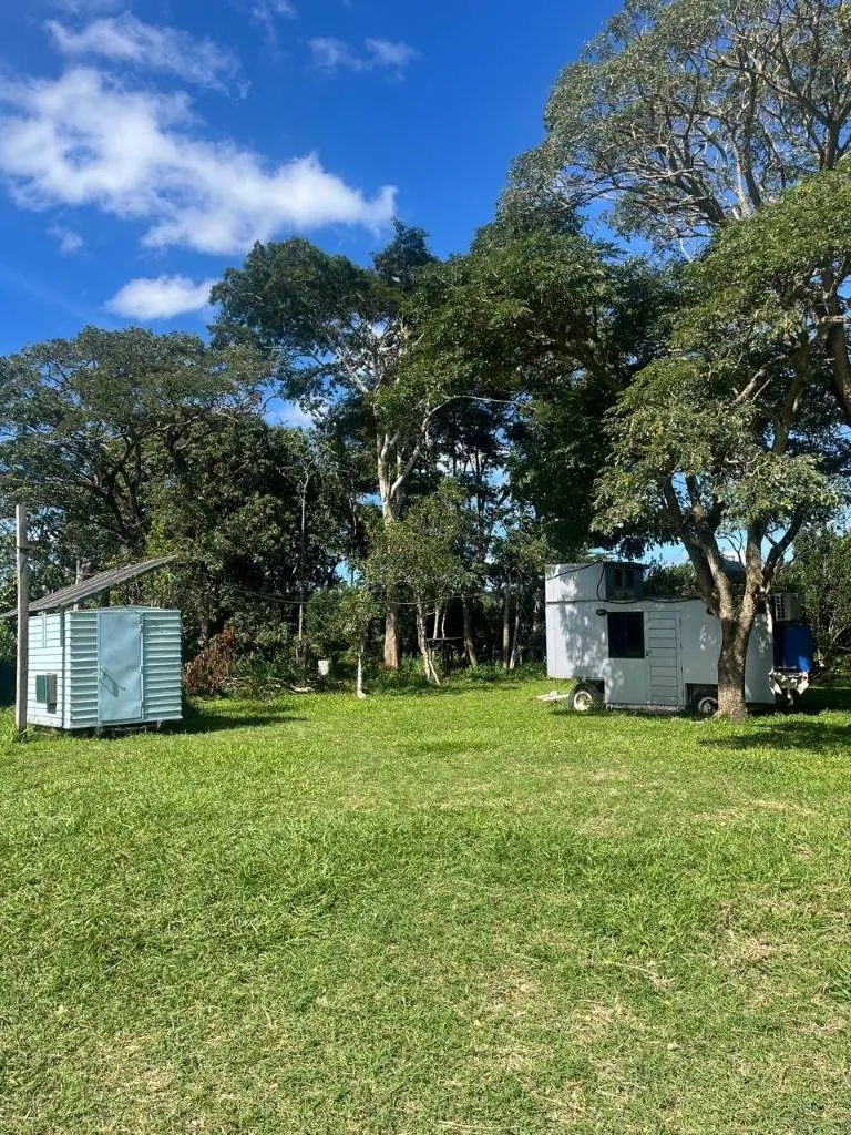 Cattle property for sale in Porongo, Wenda area: foto 7 de 18