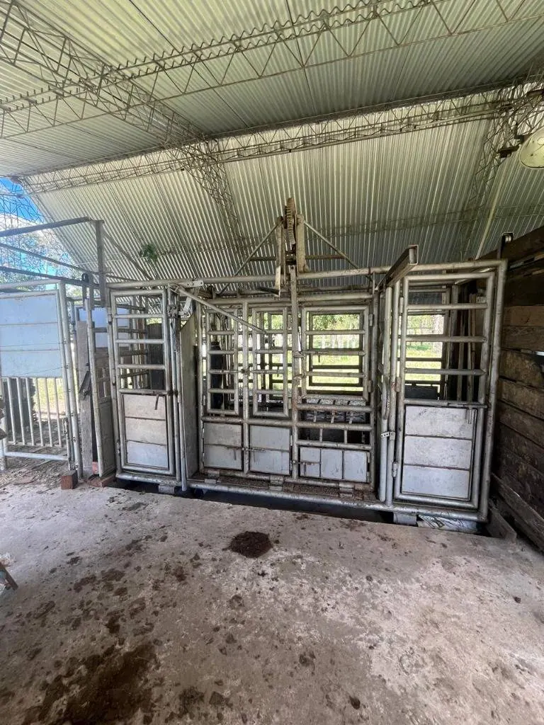 Cattle property for sale in Porongo, Wenda area: foto 12 de 18