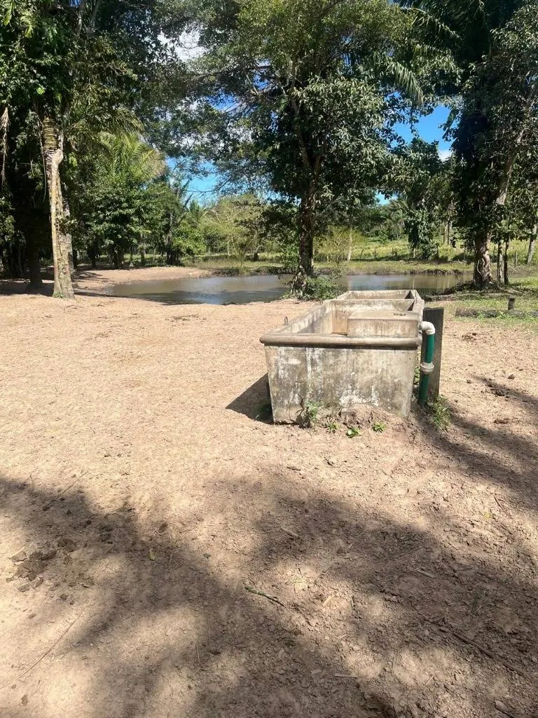 Cattle property for sale in Porongo, Wenda area: foto 15 de 18