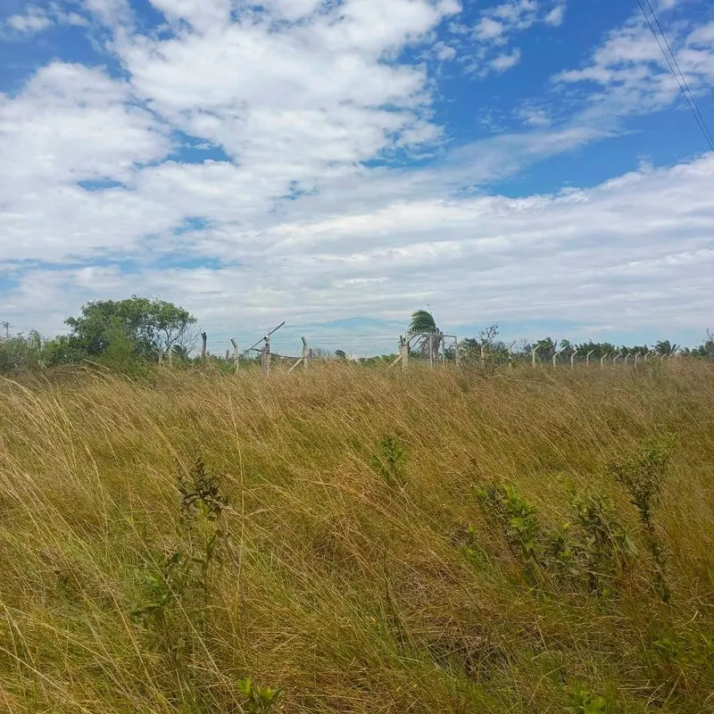 Terreno de 5.000 m² en venta en el Urubó: foto 1 de 3
