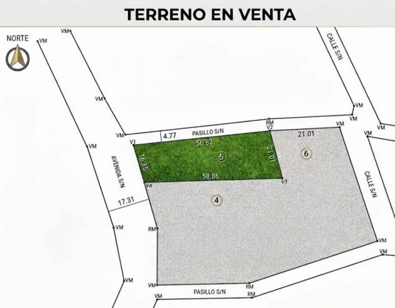 Lot with house for sale in Colpa Bélgica, 1,043.82 m²: foto 4 de 10