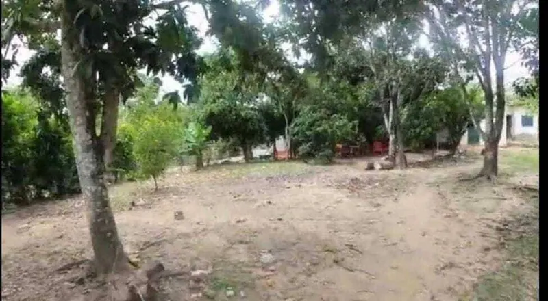 Lot with house for sale in Colpa Bélgica, 1,043.82 m²: foto 8 de 10