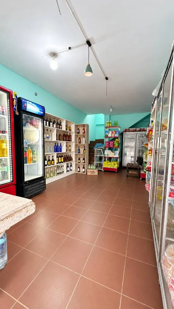 Casa de 3 dormitorios con tienda comercial en venta en la Zona Norte: foto 2 de 8