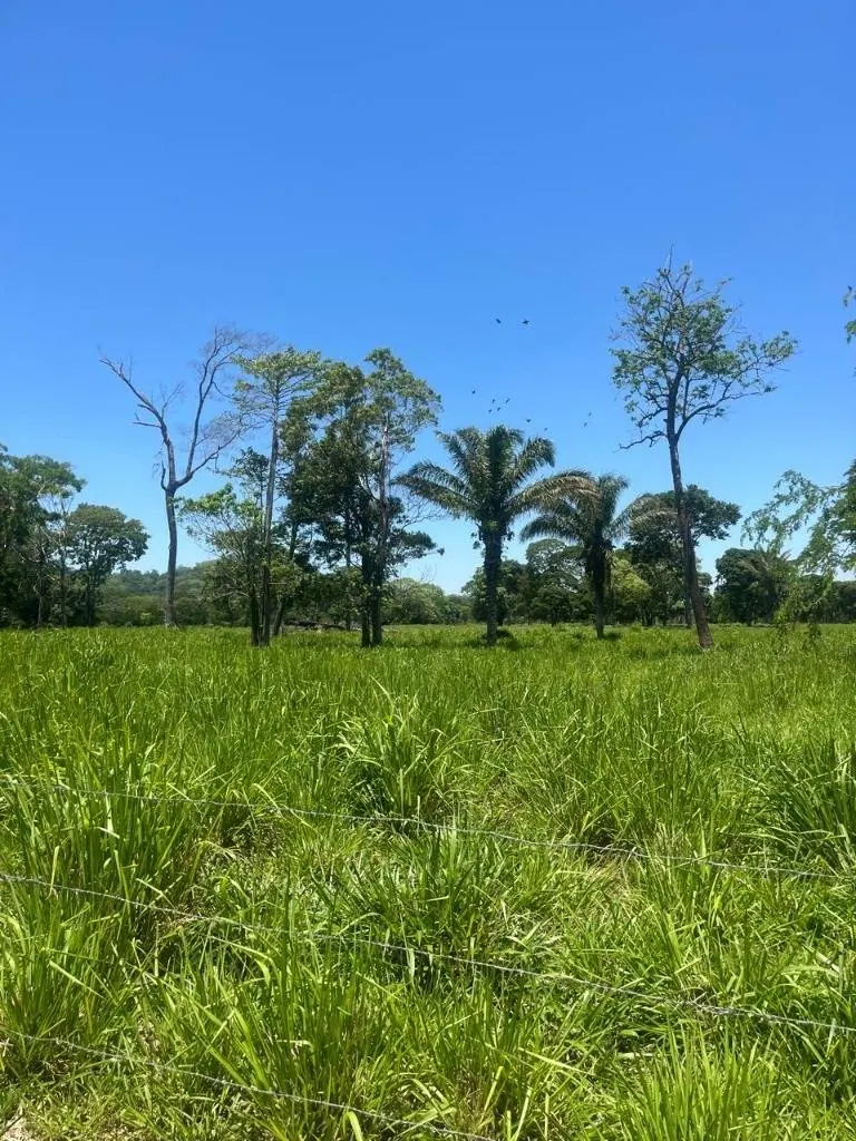 Propiedad ganadera en venta en Porongo, zona Wenda: foto 2 de 18