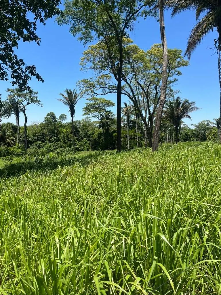 Propiedad ganadera en venta en Porongo, zona Wenda: foto 3 de 18