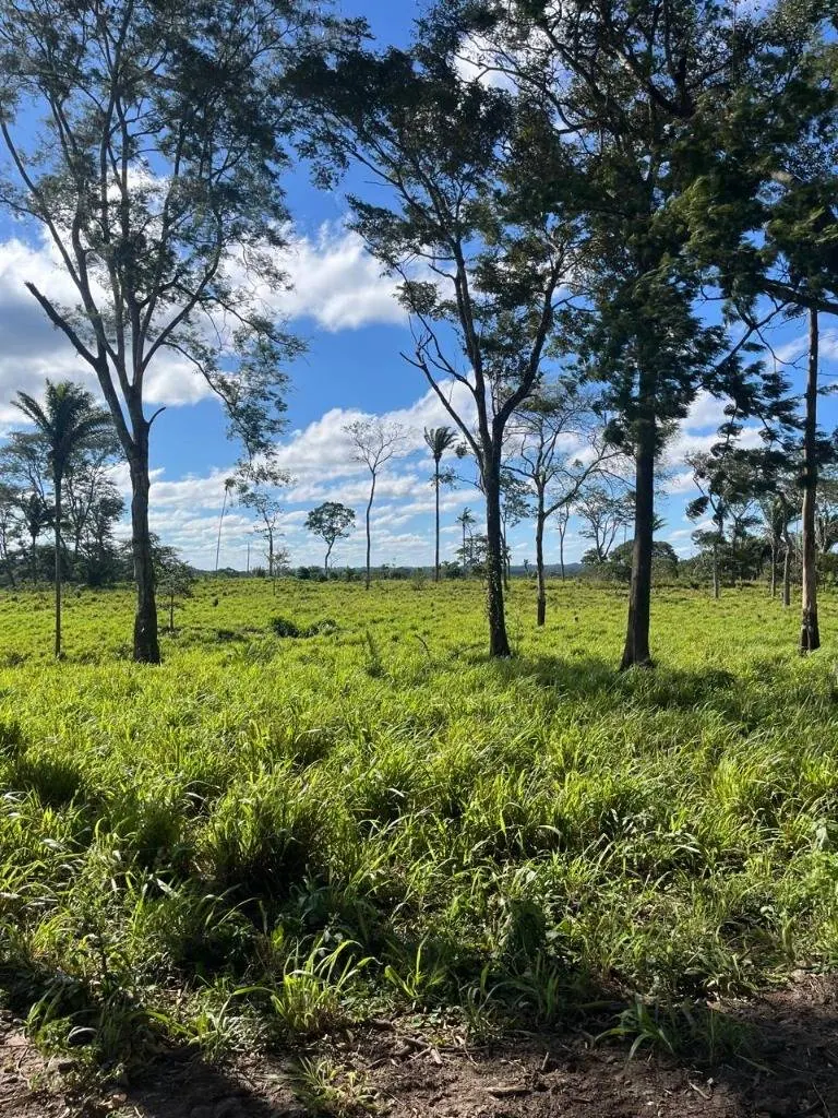 Propiedad ganadera en venta en Porongo, zona Wenda: foto 4 de 18