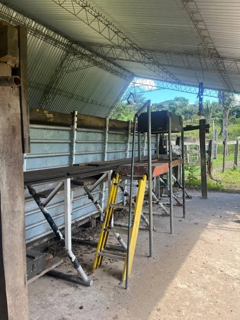 Propiedad ganadera en venta en Porongo, zona Wenda: foto 13 de 18