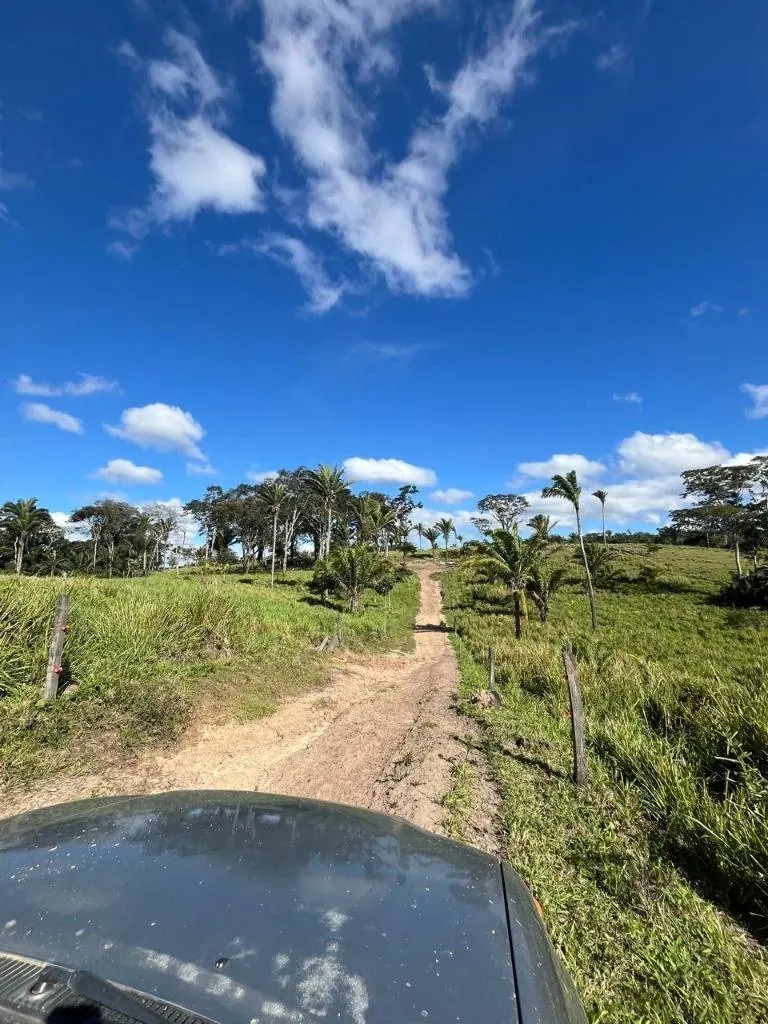 Propiedad ganadera en venta en Porongo, zona Wenda: foto 16 de 18