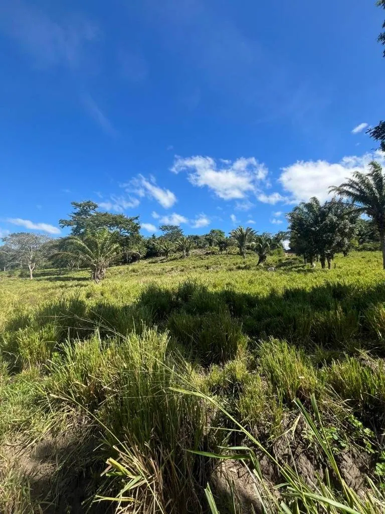 Propiedad ganadera en venta en Porongo, zona Wenda: foto 18 de 18