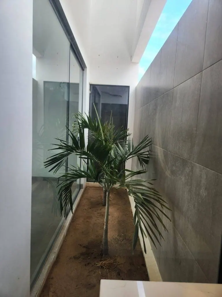 Corner house on an avenue for sale in the Cañoto development, West: foto 8 de 21