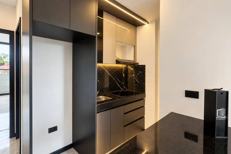 1-bedroom brand-new apartment for rent in Stone IV: foto 4 de 16