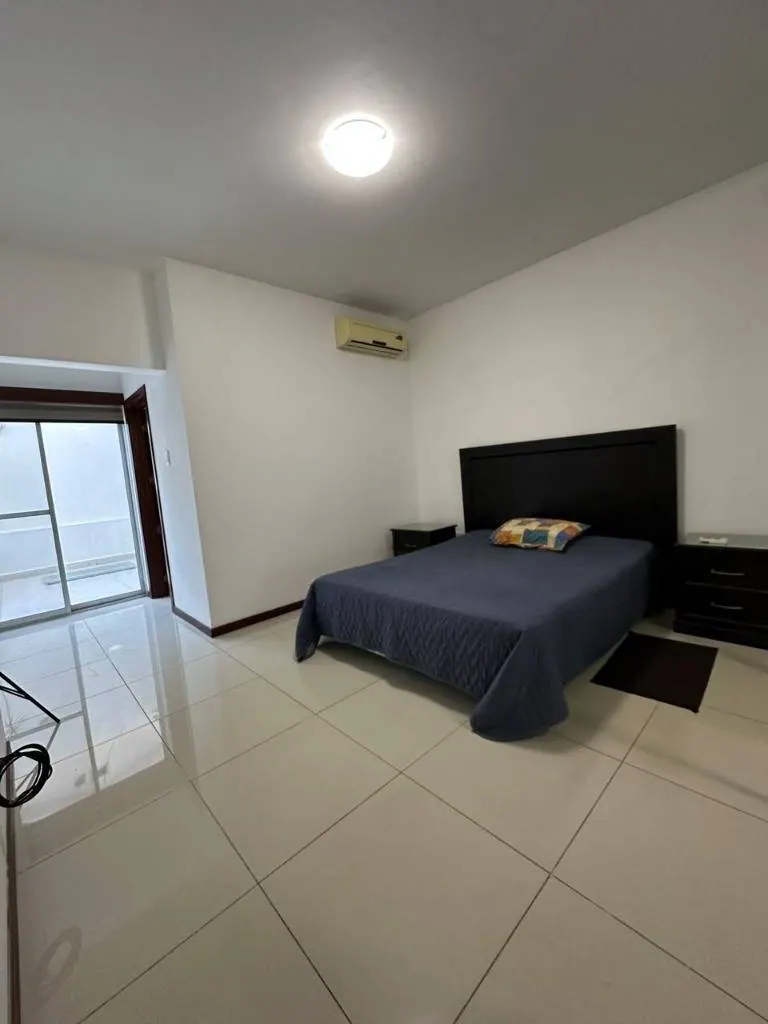 Departamento amoblado de 2 dormitorios en venta, edificio Itaguazú: foto 4 de 12